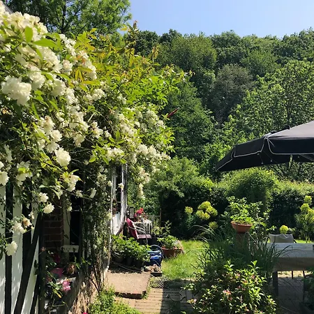 La Maison Forestiere *